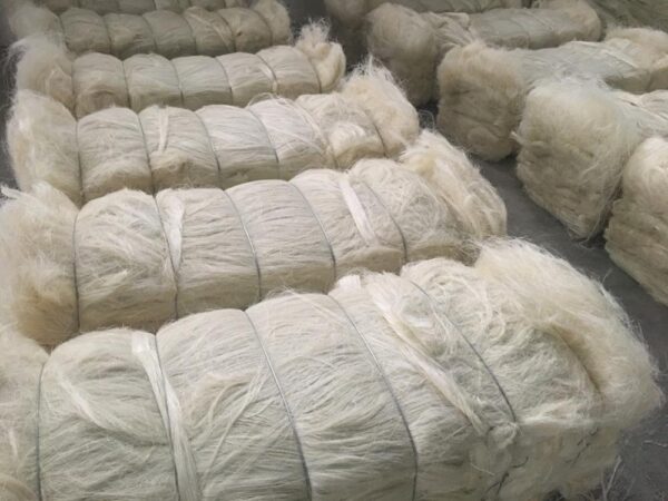 Sisal Fiber Grade 3L(3 Long) - Image 4