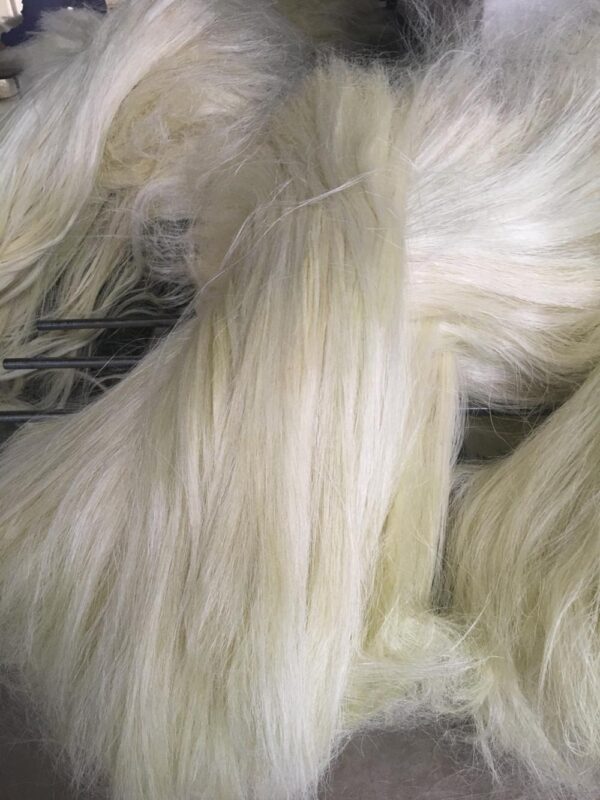 Sisal Fiber Grade 3L(3 Long)