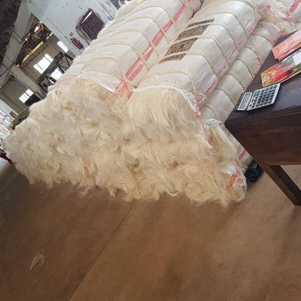 Sisal Fiber Ug Grade