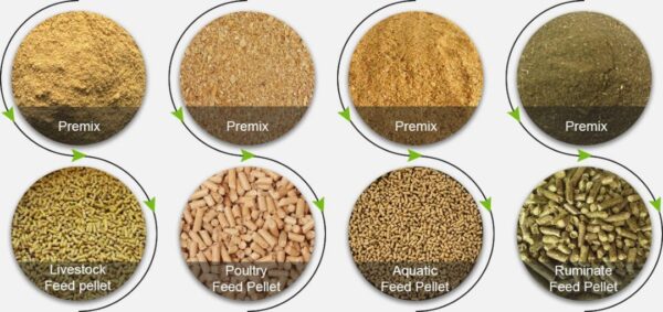 Animal Feeds