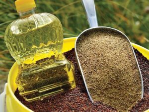 Canola And Canola Seed Products