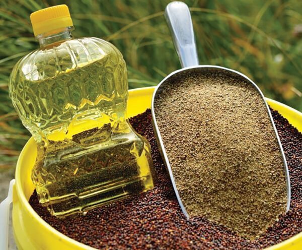 Canola And Canola Seed Products