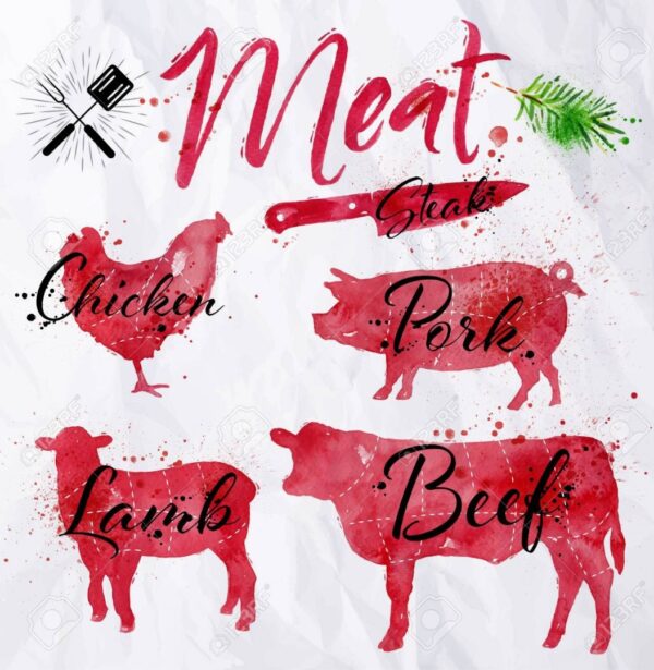 Chicken, Beef, Goats, And Mutton