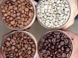 Coffee Beans And Powders