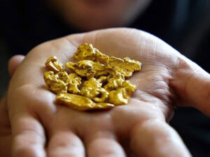 Gold Nuggets