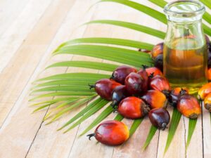Palm Nuts And Palm Products