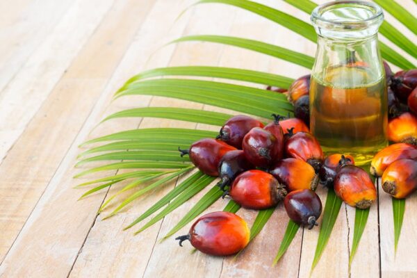 Palm Nuts And Palm Products